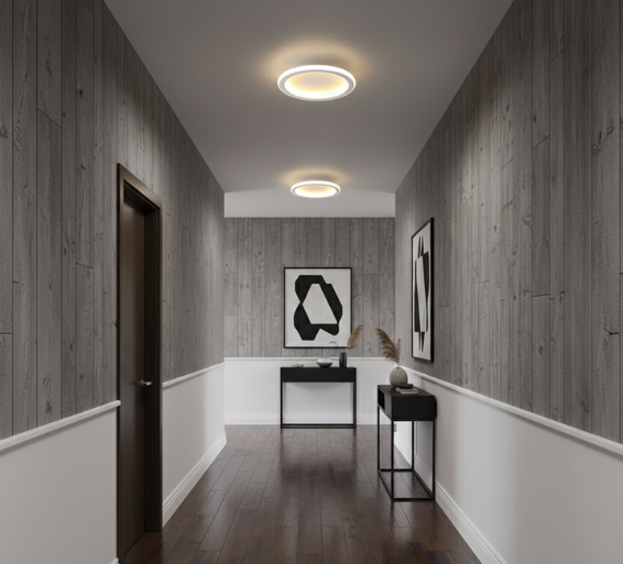 Modern Minimalist Flush Mount Ceiling Light with Remote & Dimming | Elegant Illumination for Hallways and Balconies 2